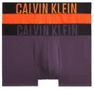 Мужские спортивные боксеры Calvin Klein Intense Power Trunk Shorty 2P - разноцветный