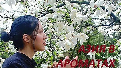 Азиатские мотивы в ароматах